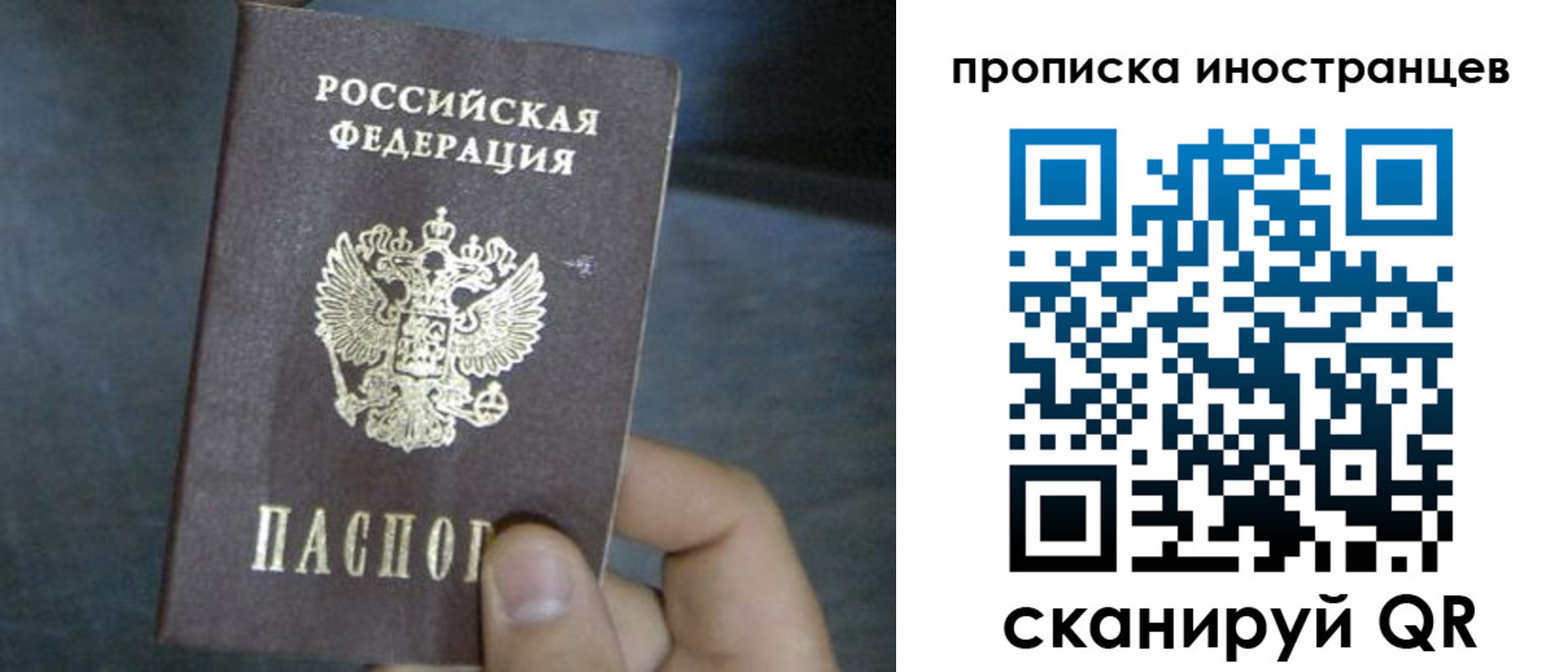 прописка в квартире в Александровске