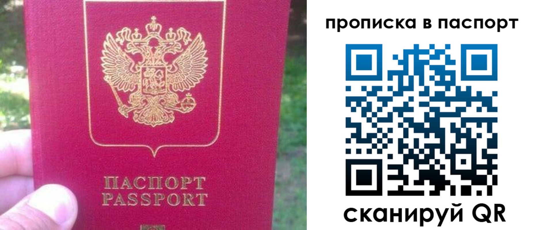 временная регистрация для всех в Александровске